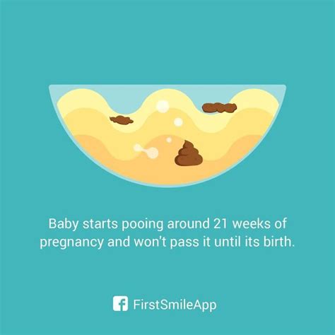 12 weird pregnancy facts that you probably didn t know bored panda