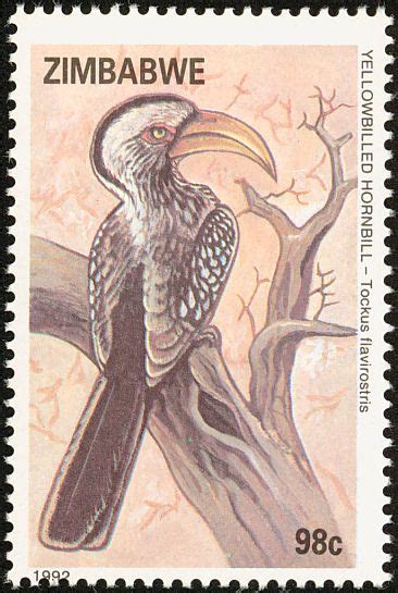 Bird Theme Postal Stamps Vintage Stamps Zimbabwe Postmark Southern