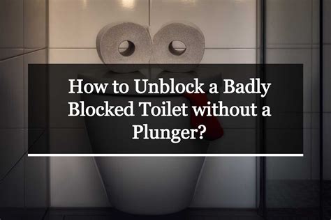 How To Unblock A Badly Blocked Toilet Without A Plunger Decorhomefiner