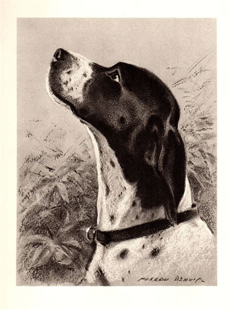 1940s Antique Pointer Print Vintage Pointer Dog Art Childrens Etsy