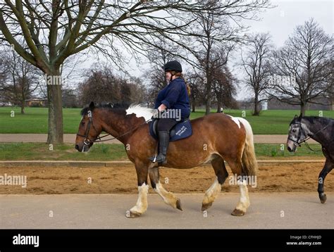 A Horse Rider In Hyde Park In London Stock Photo Alamy