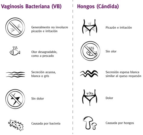 Diferencia Entre Vaginosis Bacteriana Y Candidiasis Vaginal Multi Gyn