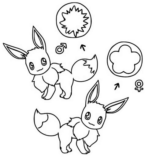 Coloriage Pokémon Evoli Evoli Mâle Et Evoli Femelle 3