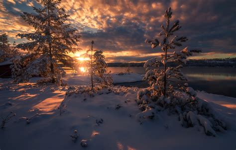 Wallpaper Winter Snow Trees Sunset Lake Ate Norway Norway