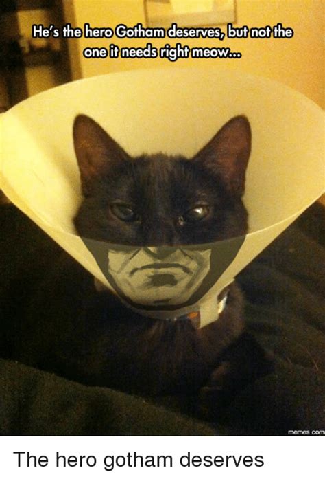 Hes The Hero Gotham Deserves But Not The One It Needs Right Meow Com