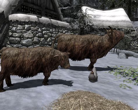 Cow Calves In Skyrim At Skyrim Nexus Mods And Community