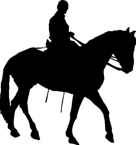 Trail clipart trail ride, Trail trail ride Transparent FREE for download on WebStockReview 2021