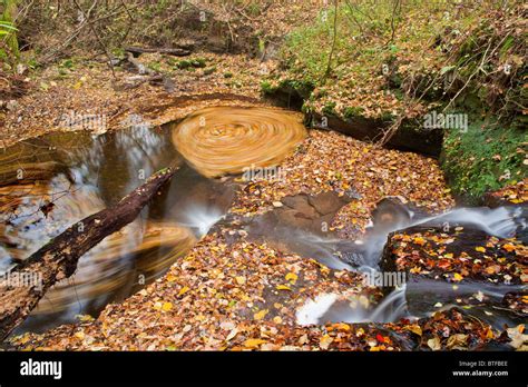 Autumnal Woodland Scene With Stream And Waterfall Stock Photo Alamy