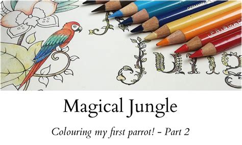 Magical Jungle Colouring My First Parrot Part 2 Magical Jungle