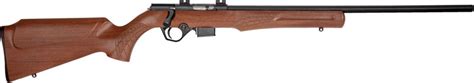 Rossi Rb17 17hmr 21 5rd Wood Shoot Point Blank