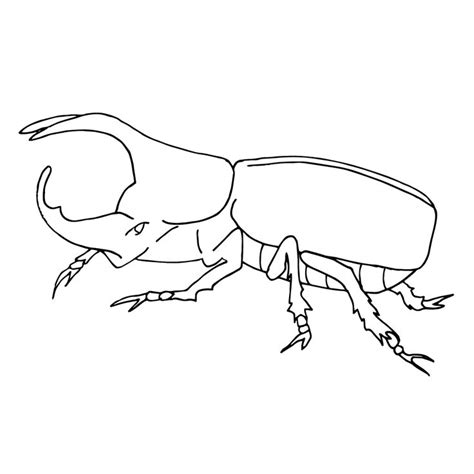 Kibble are food items used to tame creatures more quickly and with higher affinity, allowing players to save time and end up with better stats on their tamed pet. Beetle clipart rhinoceros beetle, Beetle rhinoceros beetle ...