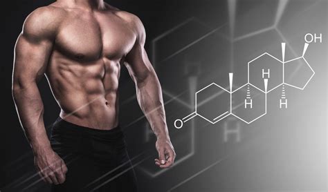 Proven Ways To Increase Your Testosterone Levels Yeg Fitness
