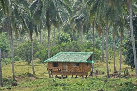 Get To Know The Vegetables Mentioned In The Popular Tagalog Folk Song