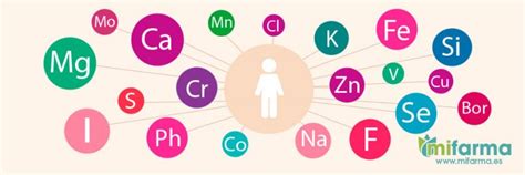 Oligoelementos Qué Son Y Para Qué Sirven