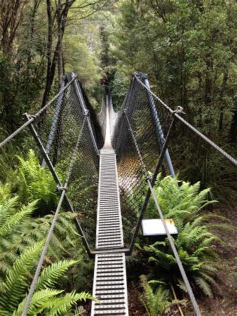 Frenchmans Cap (Derwent Bridge): 2019 All You Need to Know Before You