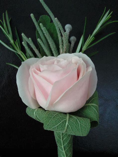 Sweet Avalanche Rose Buttonhole With Brunia And Sage Foliage Wedding