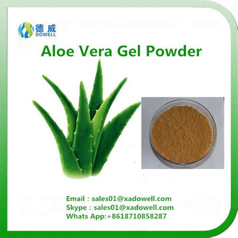 Ingredients aloe vera that are freshly obtained from organic fruits and veggies for optimum nutrition. Nutritional Ingredients Aloe Vera Gel Powder products ...