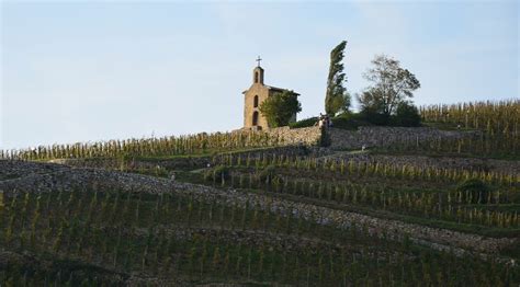 Several important critics have rated this hermitage wine highly: DROMESCAPE - Randonnées en Drôme et Escapades ...