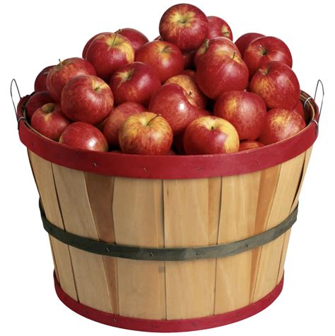 Bushel Of Apples Clipart 💖bushel Of Apples Clipart Clip Art Library