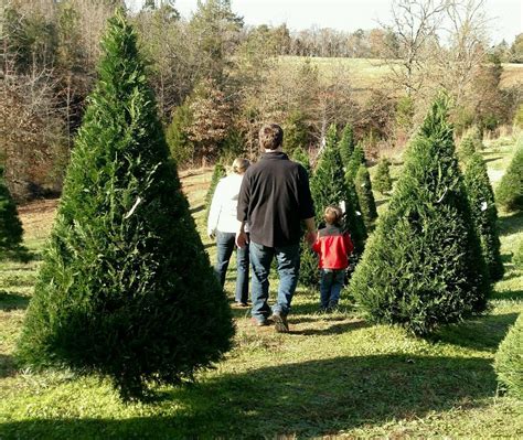 Maybe you would like to learn more about one of these? 13 Magical Christmas Tree Farms In South Carolina
