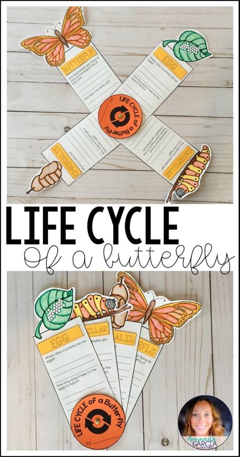It's high engagement fun ideal for students in 2nd, and 3rd grade learning about pollination, the life cycle of plants and the butterfly life cycle. Life Cycle of a Butterfly: Fact Fan | Life cycles, Stem ...