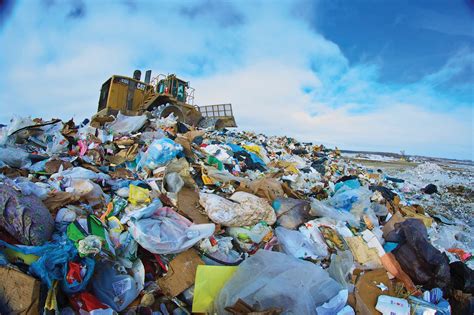Последствия загрязнения окружающей среды мусором
