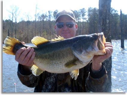 Cottage5 mi to panther pond. SEO - Calling Panther Lake Record Largemouth