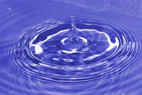 Free Images Dew Liquid Wave Petal Atmosphere Reflection Blue