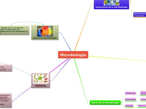 Realiza Un Mapa Conceptual Sobre La Microbiologia Y Su Importancia En