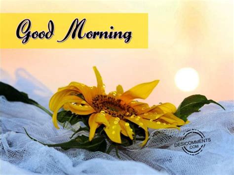 Image Of Good Morning Have A Fabulous Day