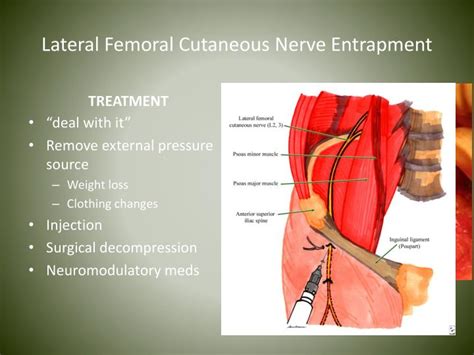 Femoral Nerve Sensory