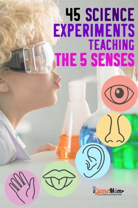 45 Science Activities For Kids To Learn The 5 Senses Science