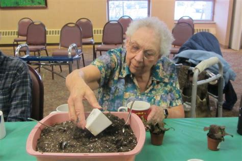 Instead, focus on the process more than the outcome. Rejuvenated garden therapy program for seniors | Nursing ...