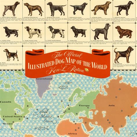 The Official Illustrated Dog Map Of The World Dog Breeds Etsy