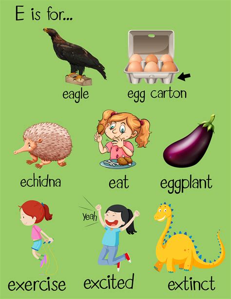 Adjectives With The Letter E