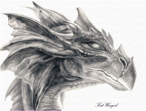 Free Download Dragon Head Drawings 17 Wallpaper Background Hd With