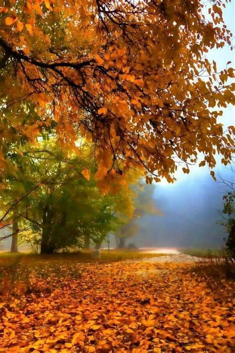 Beautiful World Beautiful Places Fall Pictures Nature Pictures