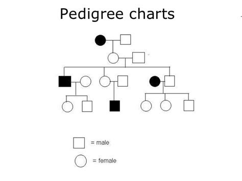 Create family tree online with visual paradigm's powerful family tree tool. 03 pedigree charts