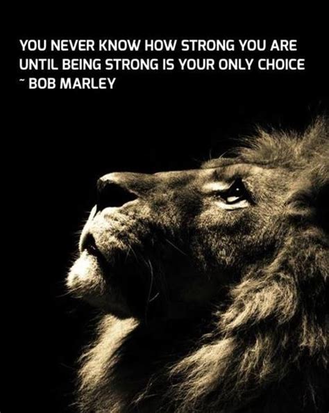 Quickbooks desktop support quickbooks is a accounting software is used for accounting. Bob Marley Quotes That Will Inspire You