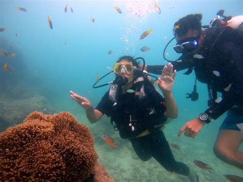 Scuba Diving In Andaman