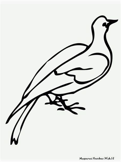 Gambar Burung Merpati Untuk Mewarnai