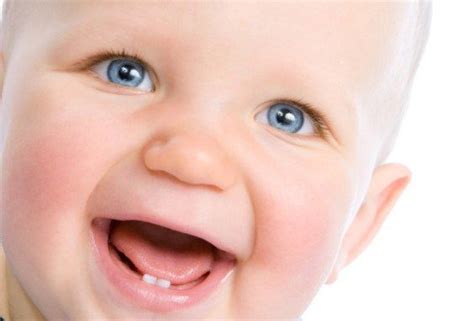Stroberi mengandung vitamin c yang tinggi, serta kalsium dan fosfor untuk merangsang pertumbuhan gigi bayi. 12 Makanan Perangsang Pertumbuhan Gigi Bayi Agar Cepat ...