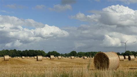 Free Images Landscape Cloud Plant Sky Field Farm Meadow