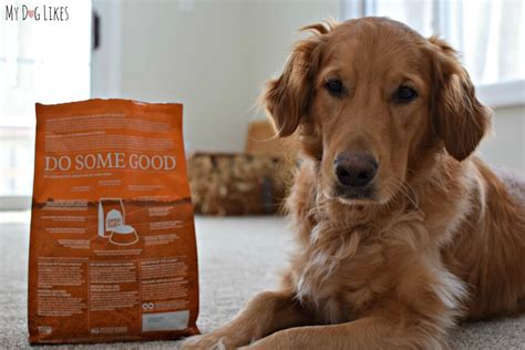 Take up to 25% discount on natural high protein dog food at open farm. Open Farm Dog Food Review - Sustainable and Ethically Sourced