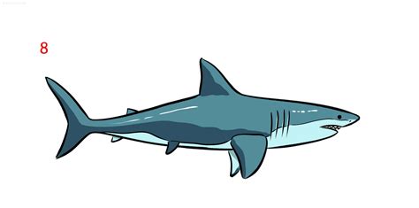 Update 81 Shark Fish Sketch Super Hot Seven Edu Vn