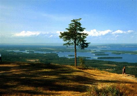 gesundaberg view to lake siljan dalarna sweden by i prinke via flickr sweden holidays