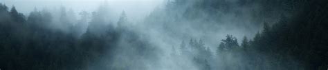 1125x243 Resolution British Columbia Foggy Forest 1125x243 Resolution