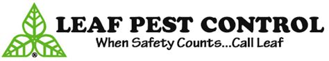 Call for bed bug treatment, stink bug removal & disinfecting services. Pest Control Company in Pittsburgh | Pest Control Solutions