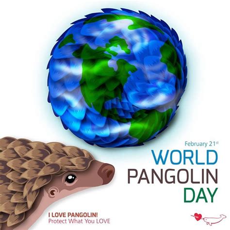 February 21 Is World Pangolin Day Be Thankful And Protect What You
