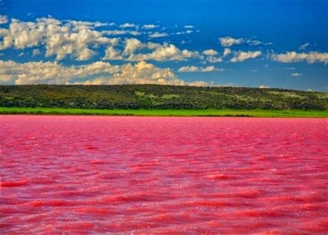 Lake hillier in australia is one of those mysterious earth phenomena that will blow you mind! #ThisYearIMustVisit: Pink Lakes Around The World